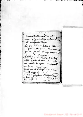 Fotogramma D 8