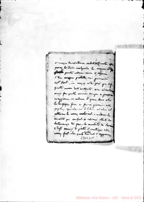 Fotogramma D 11