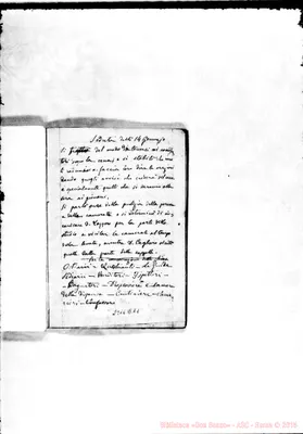 Fotogramma D 11