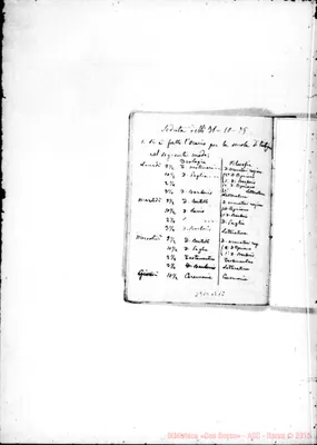 Fotogramma B 12