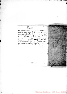 Fotogramma D 8