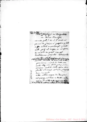 Fotogramma D 12