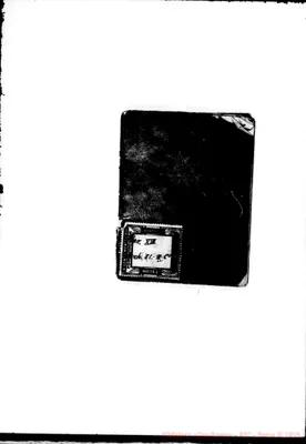 Fotogramma B 2
