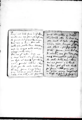 Fotogramma C 12