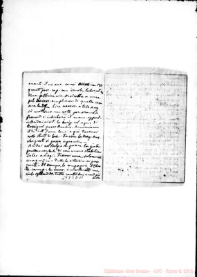 Fotogramma D 11