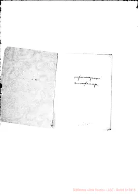 Fotogramma B 1