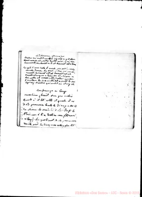 Fotogramma D 3
