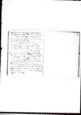Fotogramma D 8