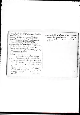 Fotogramma D 11