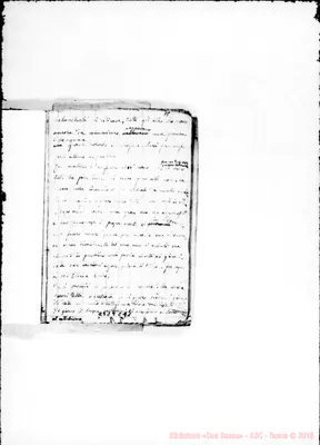 Fotogramma C 11