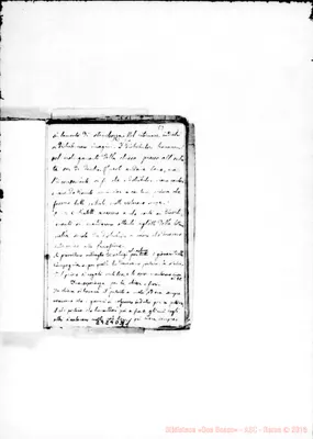 Fotogramma D 11