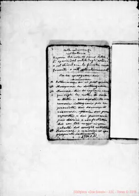 Fotogramma C 11