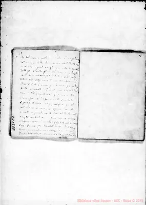 Fotogramma C 1