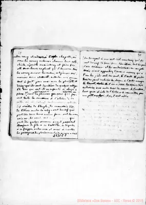 Fotogramma C 8