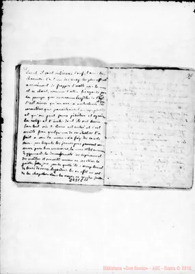 Fotogramma C 11