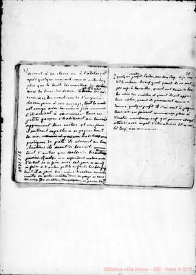 Fotogramma C 12