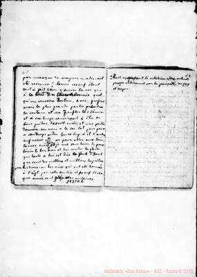 Fotogramma D 2