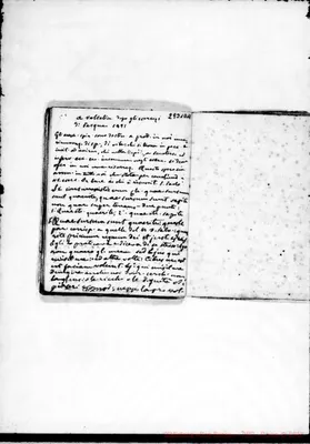 Fotogramma D 11