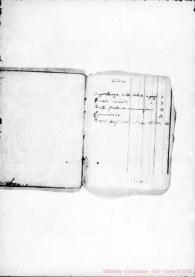 Fotogramma B 3
