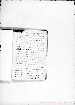 Fotogramma C 7
