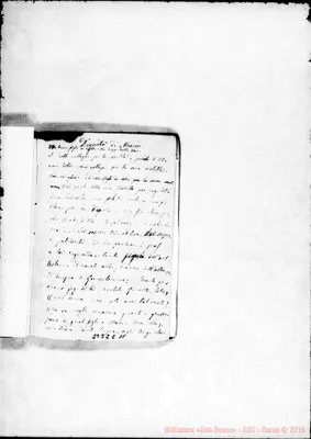 Fotogramma C 11
