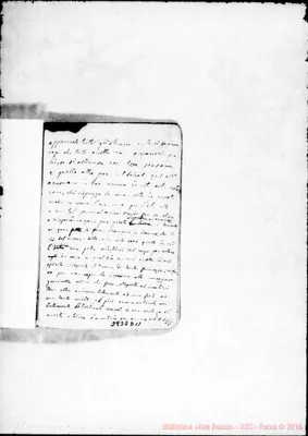 Fotogramma D 11
