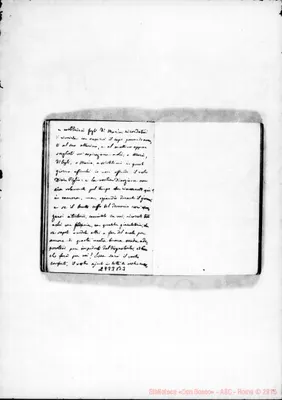 Fotogramma B 3