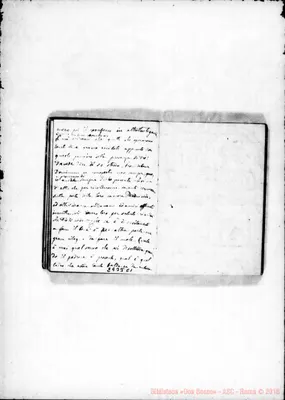 Fotogramma C 1