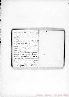 Fotogramma C 8