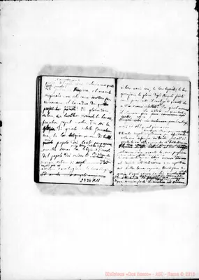 Fotogramma A 11