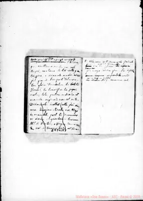 Fotogramma B 1