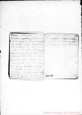 Fotogramma D 8