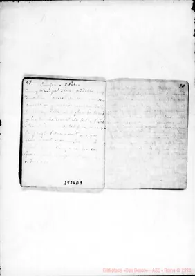 Fotogramma D 9