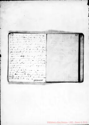 Fotogramma D 11