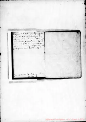 Fotogramma D 12