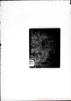 Fotogramma C 3