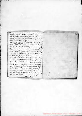 Fotogramma C 11