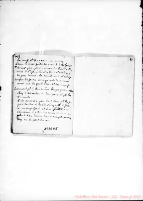 Fotogramma D 5