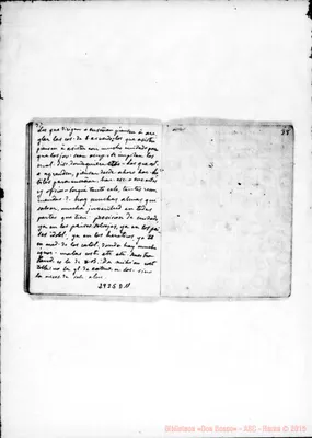 Fotogramma D 11