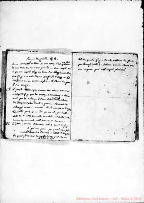 Fotogramma C 11