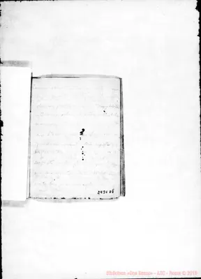 Fotogramma D 8