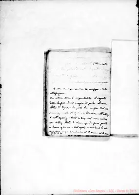 Fotogramma D 11