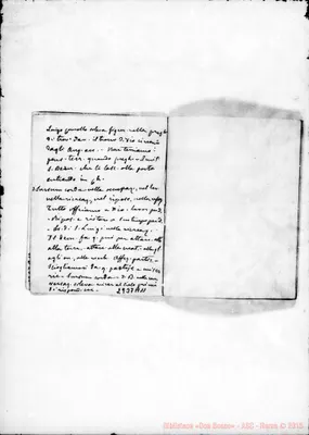 Fotogramma A 11