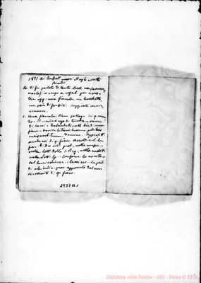 Fotogramma B 1