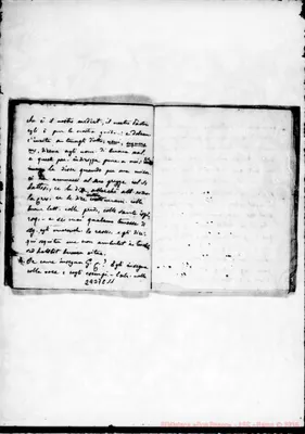 Fotogramma C 11