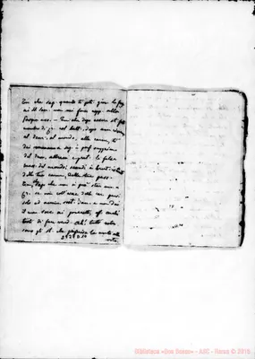 Fotogramma D 10