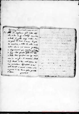 Fotogramma D 11