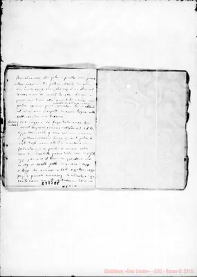Fotogramma E 8