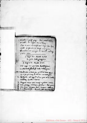 Fotogramma B 3