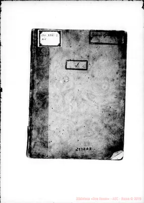 Fotogramma D 3